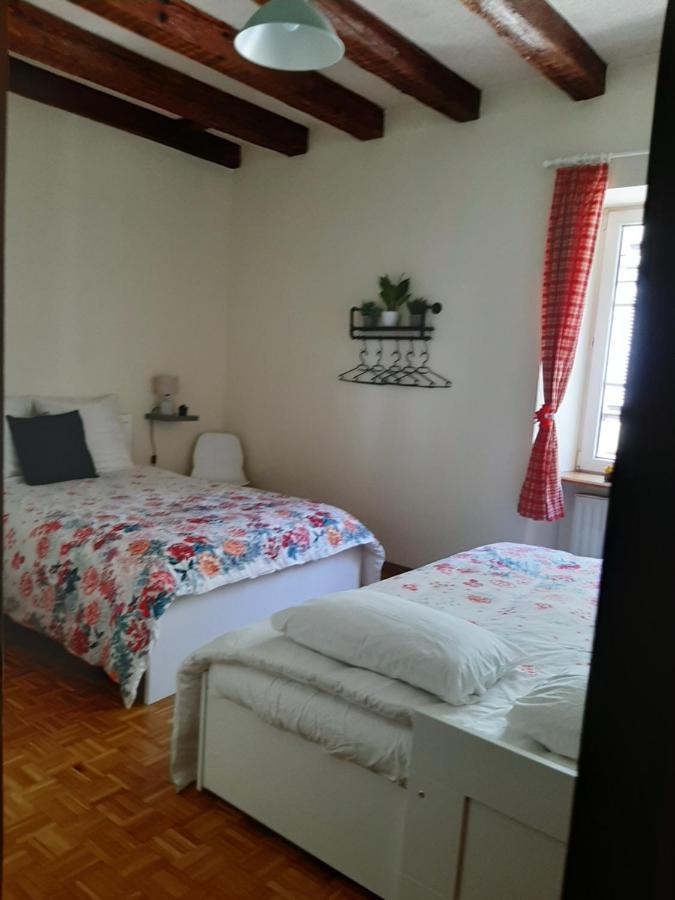 N¨°1 Schongauer Gite De Charme Centre Touristique Κολμάρ Εξωτερικό φωτογραφία